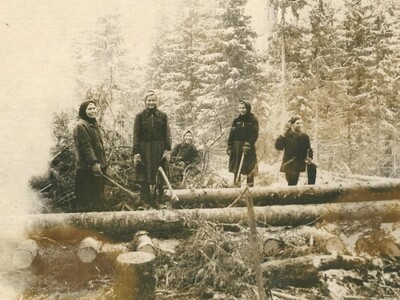 Женская бригада на лесозаготовке, 1957 год